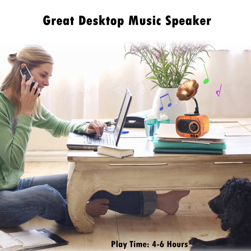 BGJOY Retro Music Speaker Vintage Wireless Portable Outdoor Speakers Loud Stereo Sound Rechargeable Speaker Built in Mic Support Answering Calls USB TF Card AUX for Home Party Office - Image 2